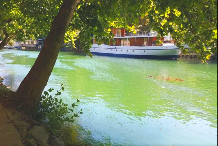 Team Building bateaux électriques sur la seine